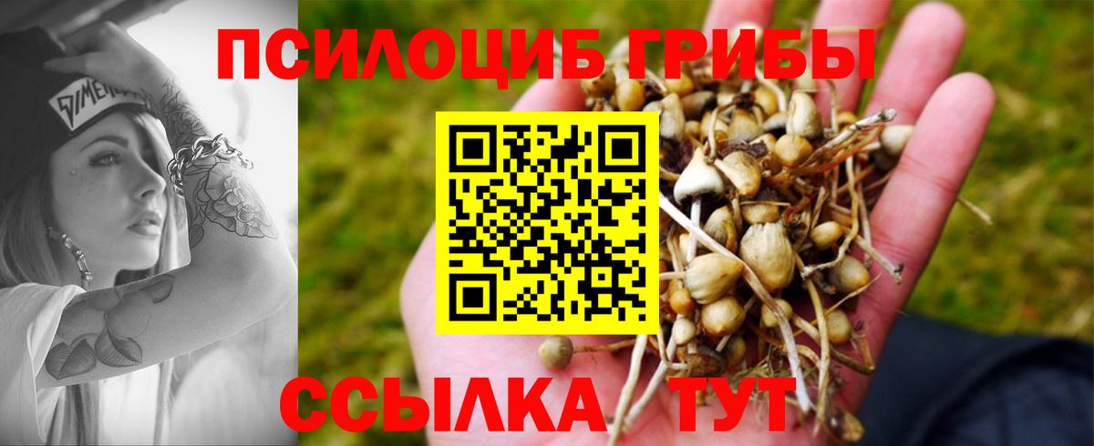 Зеленокумск  Галлюциногенные грибы Magic Shrooms  Вход с VPN  Псилоцибиновые грибы Magic Shrooms 